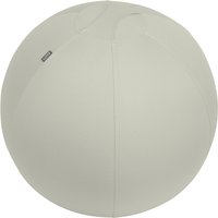 Actieve zitbal Leitz Ergo 65cm anti-rol lichtgrijs