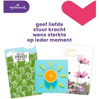 Wenskaart Hallmark Business Box beterschap navulset à 12 stuks