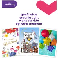 Wenskaart Hallmark Business Box verjaardag A4 navulset à 8 stuks