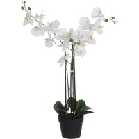 Kunstplant Mica Phalaenopsis orchideeën wit in plastic pot 79x51cm