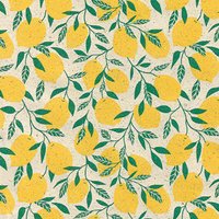 Apparaatrol Little Lemon 50cmx200m