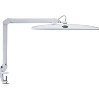 Werkpleklamp MAUL Work LED tafelklem dimbaar wit