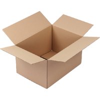 Amerikaanse vouwdoos CleverPack 305x220x250mm B-golf bruin 10 stuks