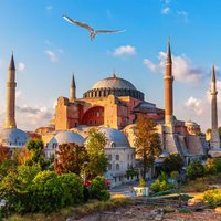 Flights Edmonton - Istanbul