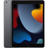 Apple iPad Wi-Fi 256GB Space GrayTablette tactile Apple iPad Wi-Fi 256GB Space Gray