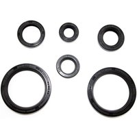 Oil Seal Kit BSA C15/B40 Sports Star (1964-1967) Motorcycle GS61352