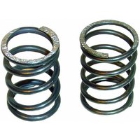 Heavy Duty Dump Valve Spring (TBVA004)