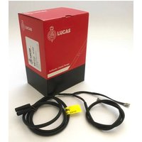 Lucas Sub Harness 6V Triumph BS/SUB1 Motorcycle GS19166
