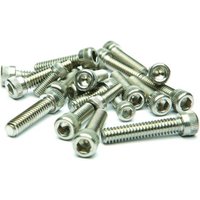 BSA Allen Screw Kit B.S.A D7 Bantam Complete set, Stainless Steel.