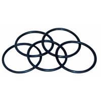 Spacer Plate 'O' Ring (CSA100)