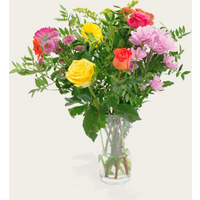 Boeket Bloemen Bonte Sparkel | Hallmark Cadeau Bloemen en planten |