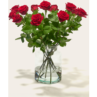 Boeket Bloemen Rode Rozen Luxe | Hallmark Cadeau Bloemen en planten |