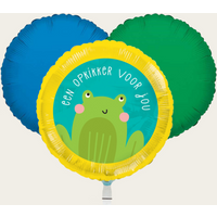 Ballonnentros Opkikker Groen Blauw | Hallmark Cadeau Ballonnen |