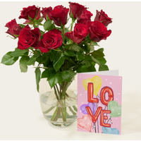 Brievenbusbloemen Rozen Rood | Hallmark Cadeau Bloemen en planten |