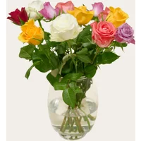 Brievenbusbloemen Rozen Taylor | Hallmark Cadeau Bloemen en planten |