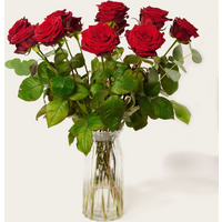 Boeket Bloemen Rode Rozen Luxe | Hallmark Cadeau Bloemen en planten |