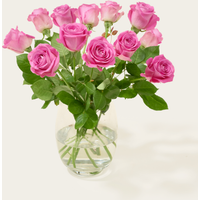 Brievenbusbloemen Roze Rozen | Hallmark Cadeau Verse bloemen |