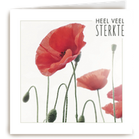 Kaart Hallmark | Condoleance kaarten Herinnering | Sterkte heel veel sterkte nu