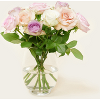 Brievenbusbloemen Rozen Pastel Crush | Hallmark Cadeau Bloemen en planten |