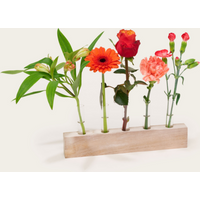 Brievenbuspakket Vaasjes Orangerie | Hallmark Cadeau Bloemen en planten |