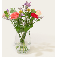 Brievenbusbloemen Matia Studio | Matia Studio Cadeau Bloemen en planten |