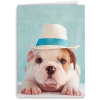 Kaart Hallmark | Beterschapskaarten | Hond met hoed op