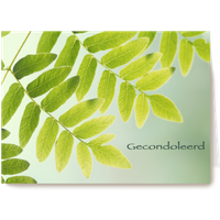 Kaart Hallmark | Condoleance kaarten | Troostende woorden zijn moeilijk te vinden