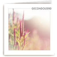 Kaart Hallmark | Condoleance kaarten | Gecondoleerd