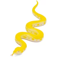 Golden Python