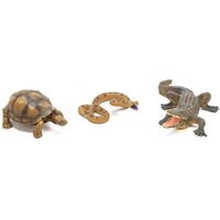 Reptile Kingdom