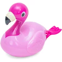 Swimmer Friend Flamingo