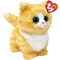Melanie Tabbycat Boo Reg
