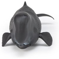 Sperm Whale