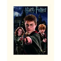 Harry Potter 30X40Cm Mounted Print