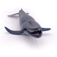 Whale