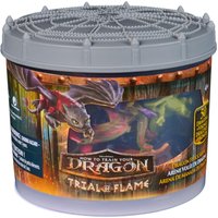 Berk Dragon Flock Arena