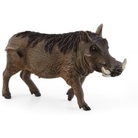 Warthog