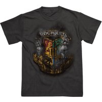 Harry Potter Distressed Hogwarts Crest Unisex T-Shirt Small