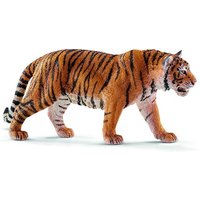 Wild Life Tiger