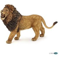 PAPO Roaring Lion