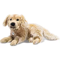 Andor Golden Retriever