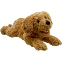 Playful Puppies Cockapoo