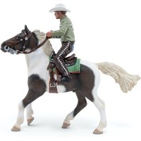 Cowboy And His Horse