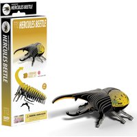 Eugy Hercules Beetle