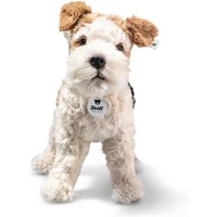 Foxy Fox Terrier