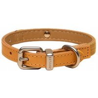 Joules Medium Tan Dog Collar