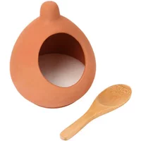 Dexam Terracotta Salt Cellar & Spoon