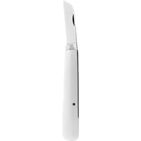 Taylor's Eye Witness Budding Knife