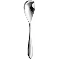 Robert Welch Bourton Bright English Tea Spoon