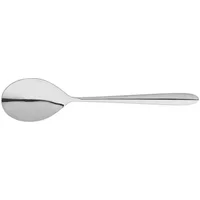 Stellar Winchester Table Spoon